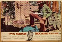 d265 COOL HAND LUKE Italian photobusta movie poster '67 mind is right!