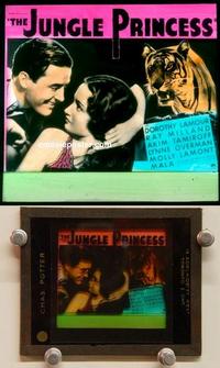 g128 JUNGLE PRINCESS movie glass lantern slide '36 Dorothy Lamour