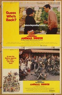 a229 ANIMAL HOUSE 2 movie lobby cards R79 John Belushi, Landis classic!