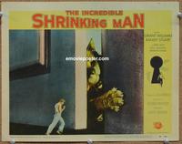 h409 INCREDIBLE SHRINKING MAN movie lobby card #4 '57 cat attacks!
