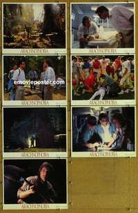 j034 ARACHNOPHOBIA 7 movie lobby cards '90 Jeff Daniels, spiders!