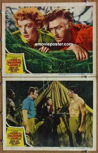 h183 KING SOLOMON'S MINES 2 movie lobby cards '50 Deborah Kerr