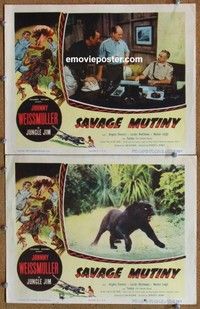 h305 SAVAGE MUTINY 2 movie lobby cards '53 cool black panther close up!