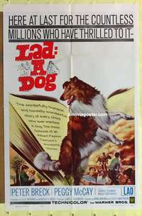 e174 LAD A DOG one-sheet movie poster '61 wonderful Collie dog image!