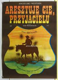 c211 CATLOW Polish movie poster '71 Jakub Erol cowboy on horse art!