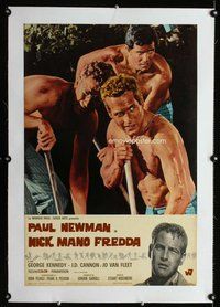 f199 COOL HAND LUKE linen Italian photobusta movie poster '67 vertical