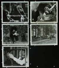 h945 EVIL OF FRANKENSTEIN 5 8x10 movie stills '64 Cushing, Hammer