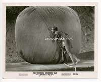 h800 INCREDIBLE SHRINKING MAN 8x10 movie still '57 giant yarn ball!