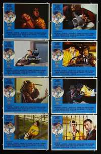 h509 FULL MOON HIGH 8 movie lobby cards '80 Larry Cohen, werewolf!