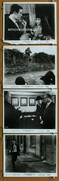 w229 2nd BEST SECRET AGENT 4 8x10 movie stills '65 spy spoof!