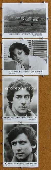 w235 AMERICAN WEREWOLF IN LONDON 4 8x10 movie stills '81 Naughton