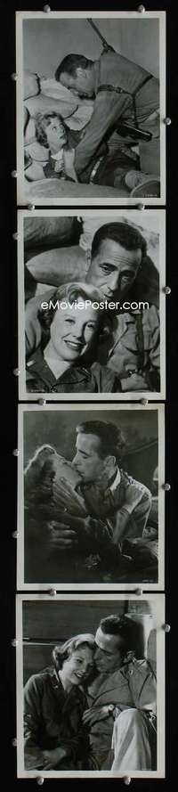 w238 BATTLE CIRCUS 4 8x10 movie stills '53 Humphrey Bogart, Allyson