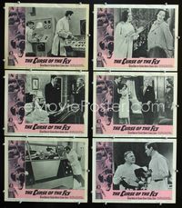 1d244 CURSE OF THE FLY 6 movie lobby cards '65 Brian Donlevy, English sci-fi monster sequel!