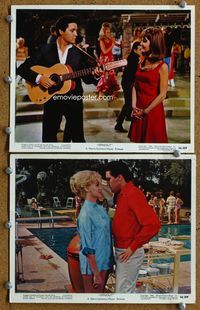 3s800 SPINOUT 2 Eng/US color 8x10 movie stills '66 Elvis Presley, Shelley Fabares, rock 'n' roll!