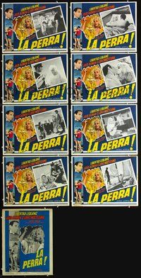 3w175 LA PERRA 9 Mexican movie lobby cards '67 super sexy Libertad Leblanc, Julio Aleman!