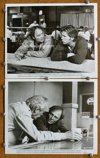 3y415 FAT CITY 2 8x10 stills '72 great movie still of Stacy Keach & Jeff Bridges at bar!