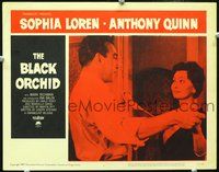 4b144 BLACK ORCHID movie lobby card #1 '59 great image of Anthony Quinn & Sophia Loren!