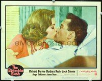 4b178 BRAMBLE BUSH movie lobby card #5 '60 close-up of Angie Dickinson kissing man!