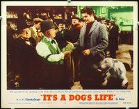 4b551 IT'S A DOG'S LIFE lobby card #6 '55 great image of Jeff Richards & Wildfire the wonder dog!