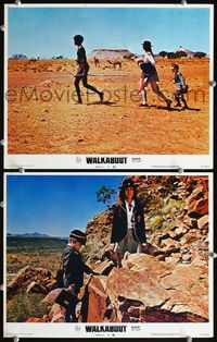 4g877 WALKABOUT 2 movie lobby cards '71 Jenny Agutter, Nicolas Roeg Australian classic!