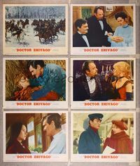 6g261 DOCTOR ZHIVAGO 6 LCs '65 Omar Sharif, Julie Christie, Geraldine Chaplin, David Lean directed!