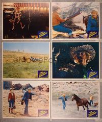 6g270 ELECTRIC HORSEMAN 6 LCs '79 Sydney Pollack, great images of Robert Redford & Jane Fonda!