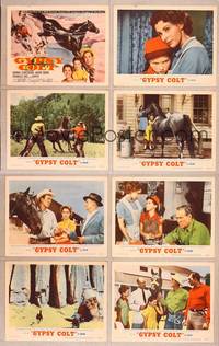 7a201 GYPSY COLT 8 LCs '54 Ward Bond, Frances Dee, young Donna Corcoran & wild stallion!