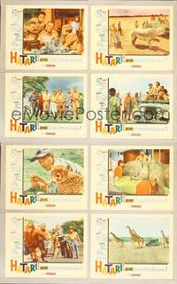 7a213 HATARI 8 LCs '62 Howard Hawks, John Wayne in Africa, Elsa Martinelli!