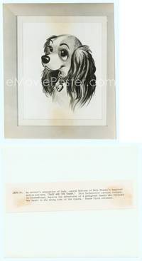 7b437 LADY & THE TRAMP 7x8.5 still '55 Disney canine classic cartoon, wonderful portrait of Lady!