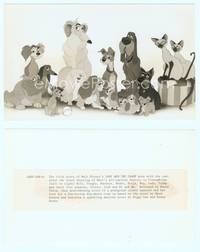 7b435 LADY & THE TRAMP 5.75x7.5 still '55 Disney classic cartoon, wonderful full cast portrait!