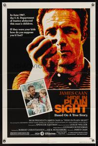 7k297 HIDE IN PLAIN SIGHT 1sh '80 the U.S. Department of Justice abducted James Caan's children!