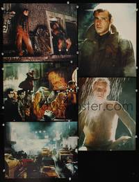 8b903 BLADE RUNNER 5 color 11x14 stills '82 Ridley Scott sci-fi classic, Harrison Ford,Rutger Hauer