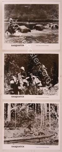 8d333 SASQUATCH 3 8x10 stills '78 images of men searching for Bigfoot in the woods!