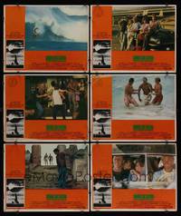 1e661 BIG WEDNESDAY 6 LCs '78 John Milius classic surfing movie, great images of surfers!