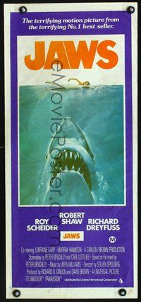 1s466 JAWS Aust daybill '81 art of Spielberg's classic man-eating shark attacking sexy swimmer!