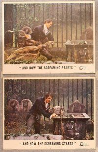 2p632 AND NOW THE SCREAMING STARTS 6 LCs '73 Peter Cushing, Herbert Lom, horror!