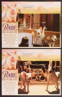 2p073 BABE PIG IN THE CITY 8 LCs '98 George Miller's talking pig, cool images of animals!