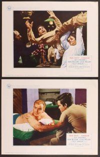 2p082 BEAU GESTE 8 LCs '66 Douglas Heyes, Guy Stockwell, Doug McClure, Leslie Nielson