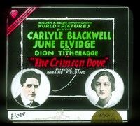 3h160 CRIMSON DOVE glass slide '17 headshots of Carlyle Blackwell & June Elvidge!