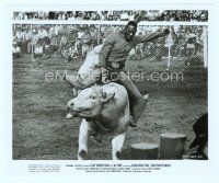 6a266 J.W. COOP 8x10 still '72 great image of black rodeo cowboy on bull as crowd watches!