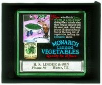 6b190 MONARCH CANNED VEGETABLES glass slide '20s a can of Monarch peas is not like any other!