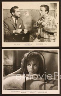 6v606 AFTER THE FOX 6 8x10 stills '66 De Sica's Caccia alla Volpe, Peter Sellers, Victor Mature!