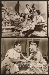 6v631 EGYPTIAN 6 8x10 stills '54 Jean Simmons, Victor Mature & Gene Tierney in ancient Egypt!