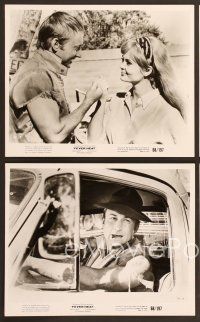 6v535 FEVER HEAT 7 8x10 stills '68 Nick Adams, Jeannine Riley, stock car racing!