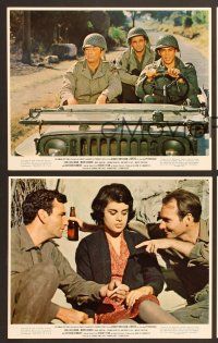 6v104 ANZIO 8 color 8x10 stills '68 Robert Mitchum, Peter Falk, Robert Ryan, Earl Holliman