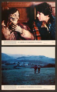 6v098 AMERICAN WEREWOLF IN LONDON 8 8x10 mini LCs '81 John Landis, David Naughton, Griffin Dunne