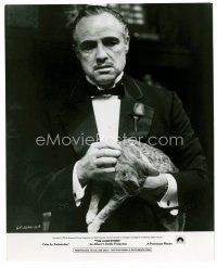 1m458 GODFATHER 8x10 still '72 Francis Ford Coppola, classic image of Marlon Brando holding cat!