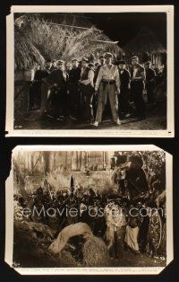 8k443 KING KONG 2 8x10 stills R38 Bruce Cabot, Robert Armstrong & Fay Wray on Kong Island!