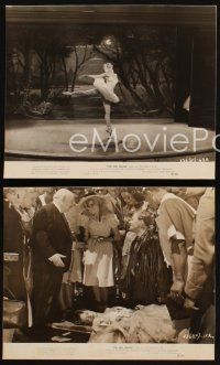 8k375 RED SHOES 3 7.75x9.5 stills '49 beautiful dancer Moira Shearer, Powell & Pressburger classic!