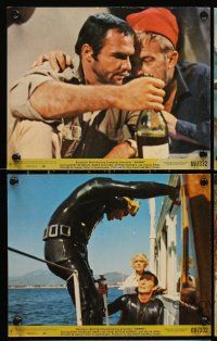 8k244 SHARK 5 8x10 mini LCs '69 directed by Samuel Fuller, Burt Reynolds, Silvia Pinal!